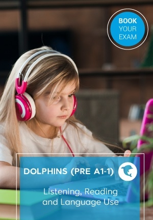 dolphins-skills1