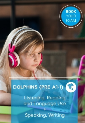 dolphins-skills2_727823128